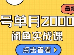 最新闲鱼日入500＋，虚拟资料变现喂饭级讲解