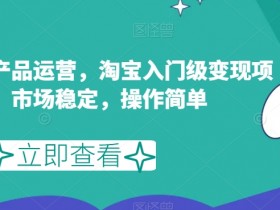 淘宝虚拟产品运营，淘宝入门级变现项目，市场稳定，操作简单