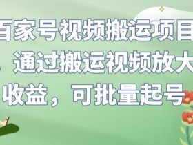 百家号视频搬运项目，通过搬运视频放大收益，可批量起号【揭秘】