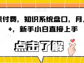 知识付费，知识系统盘口，月入1w+，新手小白直接上手