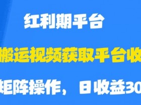 搬运视频获取平台收益，平台红利期，附保姆级教程【揭秘】