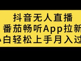 抖音无人直播，番茄畅听APP拉新，小白轻松上手月入过万