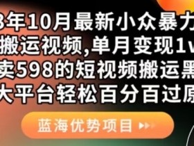 2023年10月最新小众暴力项目，靠搬运视频,单月变现1w+，外面卖598的短视频搬运黑科技，各大平台轻松百分百过原创