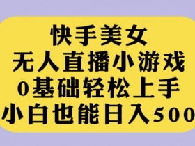 快手美女无人直播小游戏，0基础轻松上手，小白也能日入500【揭秘】