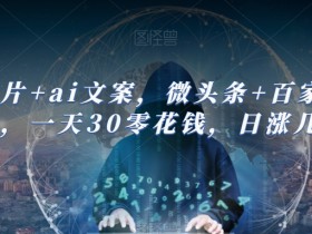 ai图片+ai文案，微头条+百家号新玩法，一天30零花钱，日涨几百粉