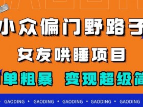 小众偏门野路子，女友哄睡项目，简单粗暴，轻松日入500＋【揭秘】