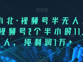 言小北·视频号半无人直播，视频号2个半小时11.7万人，纯利润1万+