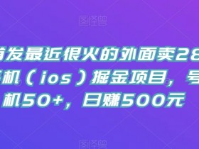 全网首发最近很火的外面卖288的苹果手机（ios）掘金项目，号称单机50+，日赚500元【揭秘】