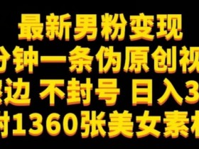 最新男粉变现，不擦边，不封号，日入300+（附1360张美女素材）【揭秘】