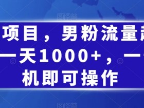 蓝海项目，男粉流量超级猛，一天1000+，一部手机即可操作【揭秘】