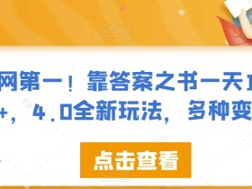 全网第一！靠答案之书一天1500+，4.0全新玩法，多种变现【揭秘】