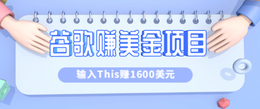 利用谷歌搜索特殊关键字赚钱项目，简单操作即可轻松赚1600+美元【视频教程】