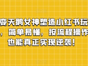 丑小鸭变天鹅女神塑造小红书玩法，月入5万+，简单易懂，按流程操作，草根也能真正实现逆袭！