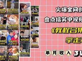 火爆抖音的搞笑盘点中视频项目（附全套素材包+工具礼包）