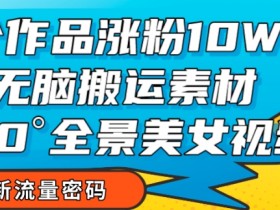 7个作品涨粉10W+，无脑搬运素材，全景美女视频爆款玩法分享【揭秘】