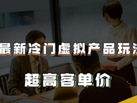 最新冷门虚拟产品玩法，超高客单价，月入2-3万＋【揭秘】
