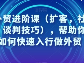 凤姐外贸进阶课（扩客，社媒，沟通，谈判技巧），帮助你了解如何快速入行做外贸