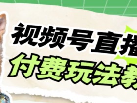 视频号美女付费无人直播，轻松日入500+【详细玩法教程】