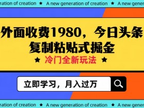 外面收费1980今日头条项目，全新玩法，冷门领域，小白轻松日入300＋【揭秘】