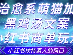 治愈系萌猫加+黑鸡汤文案，小红书商单玩法，3~10天涨到1000粉，一单200左右