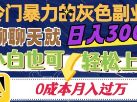 冷门暴利的副业项目，聊聊天就能日入300+，0成本月入过万【揭秘】
