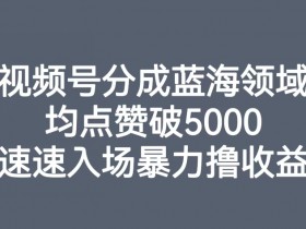 视频号分成蓝海领域，均点赞破5000，速速入场暴力撸收益
