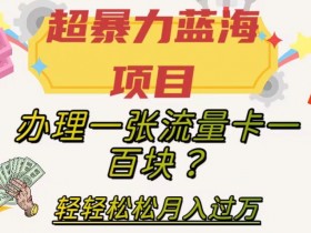 超暴力蓝海项目，办理一张流量卡一百块？轻轻松松月入过万，保姆级教程【揭秘】
