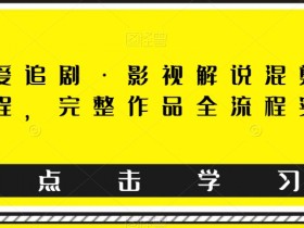 东少爱追剧·影视解说混剪搬运课程，完整作品全流程实操