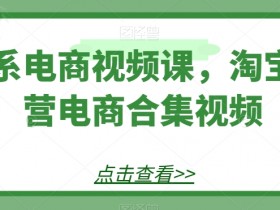 淘系电商视频课，淘宝运营电商合集视频