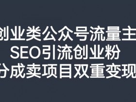 创业类公众号流量主，SEO引流创业粉，分成卖项目双重变现【揭秘】