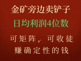 金矿旁边卖铲子，赚确定性的钱，可矩阵，可收徒，日均利润4位数【揭秘】