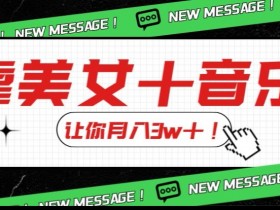 炸裂新玩法，靠美女＋音乐让你月入3w＋，操作简单新手小白都能做【揭秘】