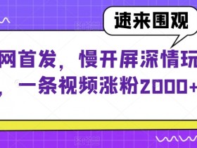 全网首发，慢开屏深情玩法，一条视频涨粉2000+【揭秘】