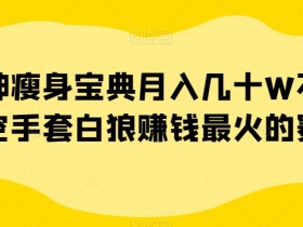 女神瘦身宝典月入几十W不是梦空手套白狼赚钱最火的赛道【揭秘】