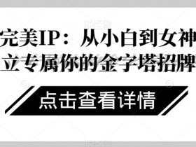 打造完美IP：从小白到女神，建立专属你的金字塔招牌