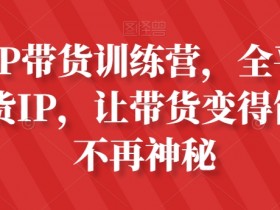 素人IP带货训练营，全平台最强带货IP，让带货变得简单、不再神秘