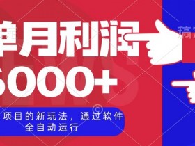陪聊项目的新玩法，通过软件全自动运行，单月利润6000+【揭秘】