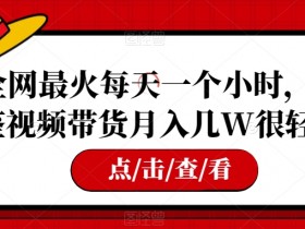 全网最火每天一个小时，借鉴视频带货月入几W很轻松【揭秘】