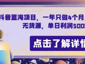抖音蓝海项目，一年只做4个月，空手套，无货源，单日利润5000+【揭秘】