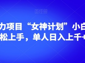 男粉暴力项目“女神计划”小白也可轻松上手，单人日入上千+【揭秘】