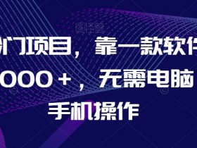 AI冷门项目，靠一款软件，日入1000＋，无需电脑，可手机操作【揭秘】