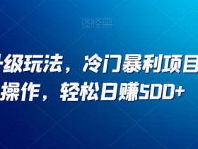 小红书升级玩法，冷门暴利项目无门槛操作，轻松日赚500+【揭秘】