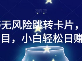 小红书无风险跳转卡片，信息差项目，小白轻松日赚800【揭秘】