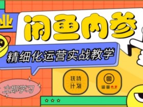 闲鱼精细化运营入门+高阶实战教学，从底层逻辑到轻松变现，多维度玩转闲鱼副业