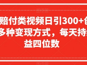 抖音赔付类视频日引300+创业粉，多种变现方式，每天持续收益四位数【揭秘】