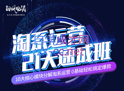 淘系运营21天速成班（更新24年5月）