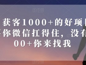 单日获客1000+的好项目，只要你微信扛得住，没有1000+你来找我【揭秘】