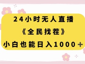 24小时无人直播，全民找茬，小白也能日入1000+【揭秘】