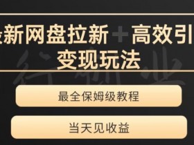 最新最全夸克网盘拉新变现玩法，多种裂变，举一反三变现玩法【揭秘】