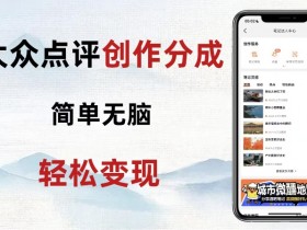 大众点评新玩法！零成本！新手也能每日轻松入袋300+！【揭秘】